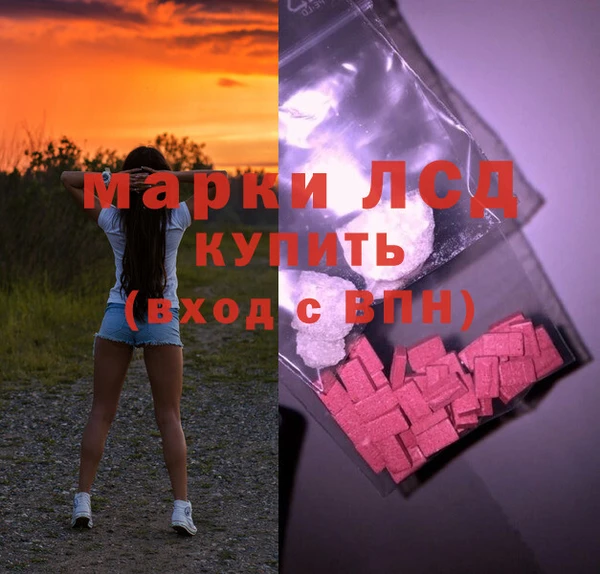 спайс Аркадак