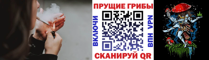 Псилоцибиновые грибы мухоморы blacksprut рабочий сайт Петропавловск-Камчатский